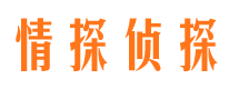 城区侦探公司